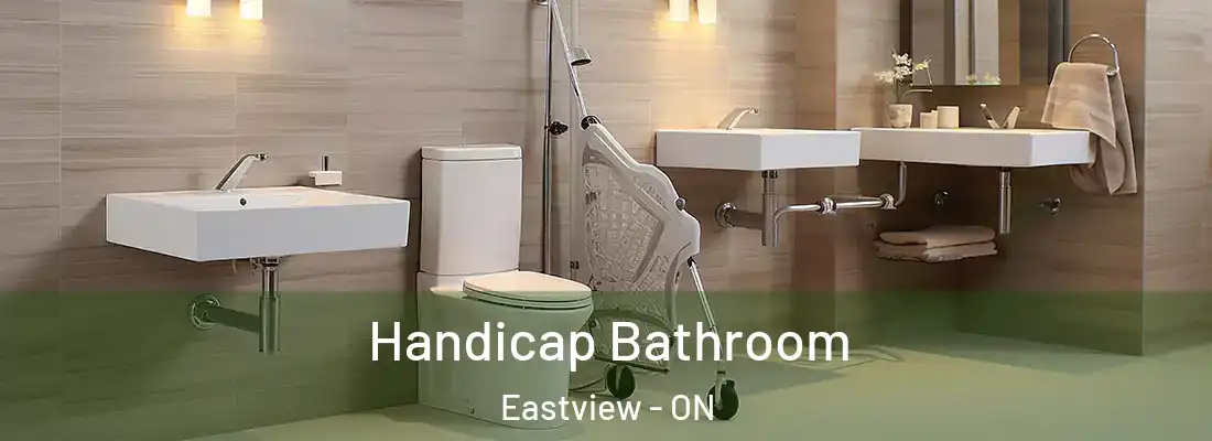  Handicap Bathroom Eastview - ON