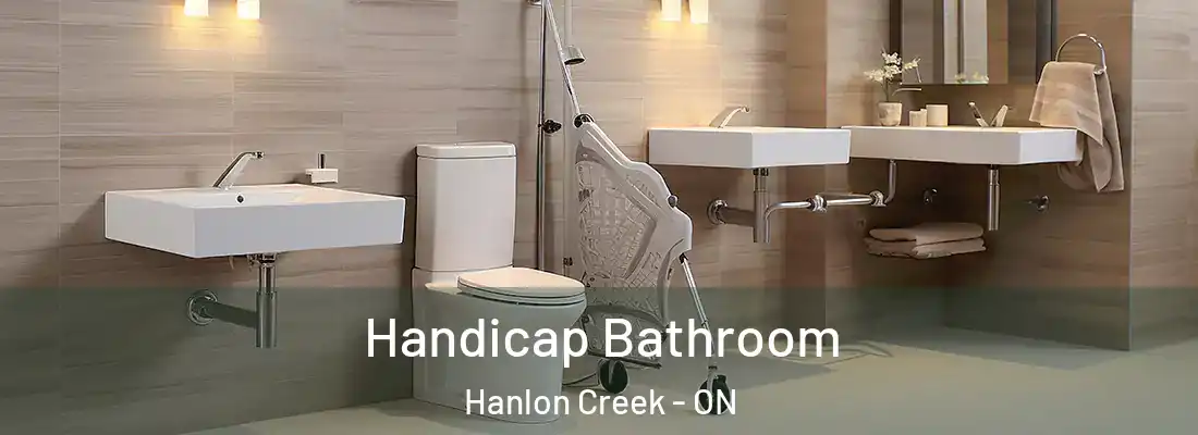  Handicap Bathroom Hanlon Creek - ON