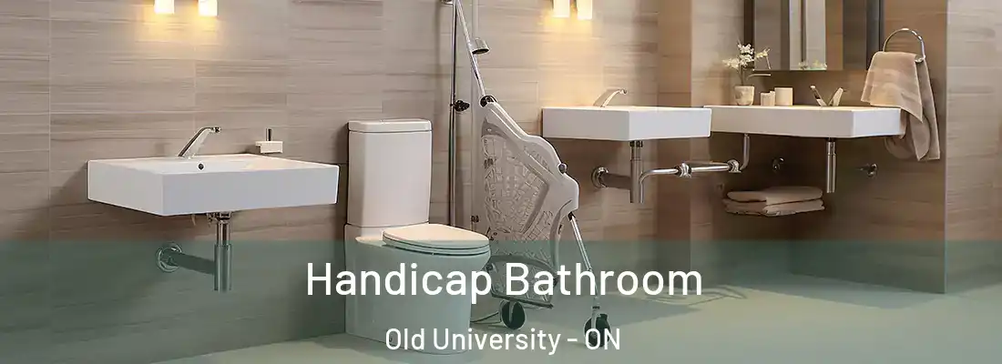  Handicap Bathroom Old University - ON