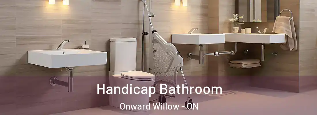  Handicap Bathroom Onward Willow - ON
