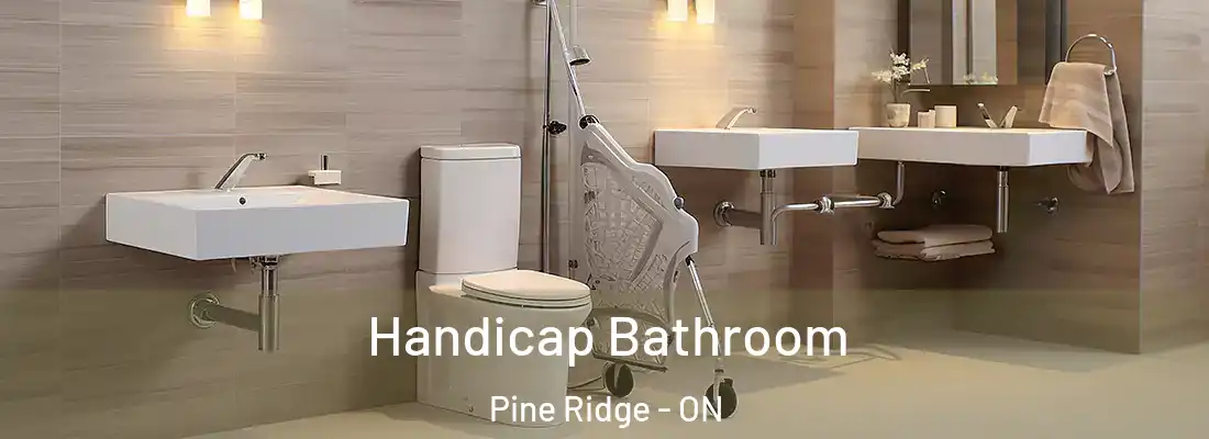  Handicap Bathroom Pine Ridge - ON