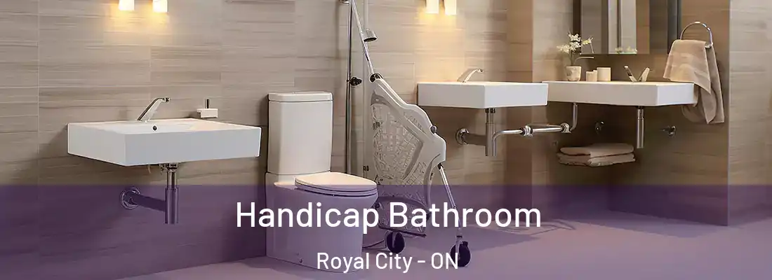  Handicap Bathroom Royal City - ON