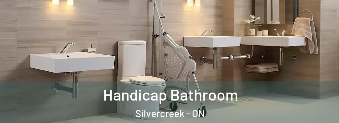  Handicap Bathroom Silvercreek - ON