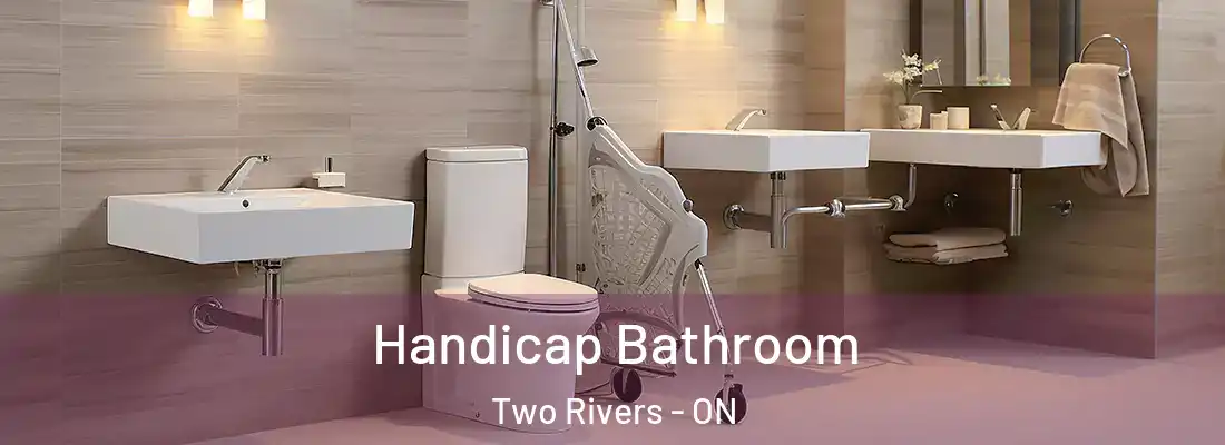  Handicap Bathroom Two Rivers - ON