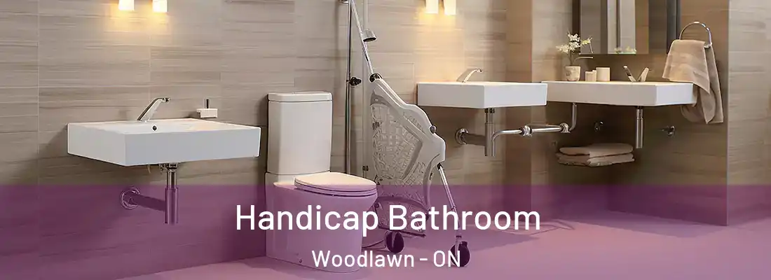  Handicap Bathroom Woodlawn - ON
