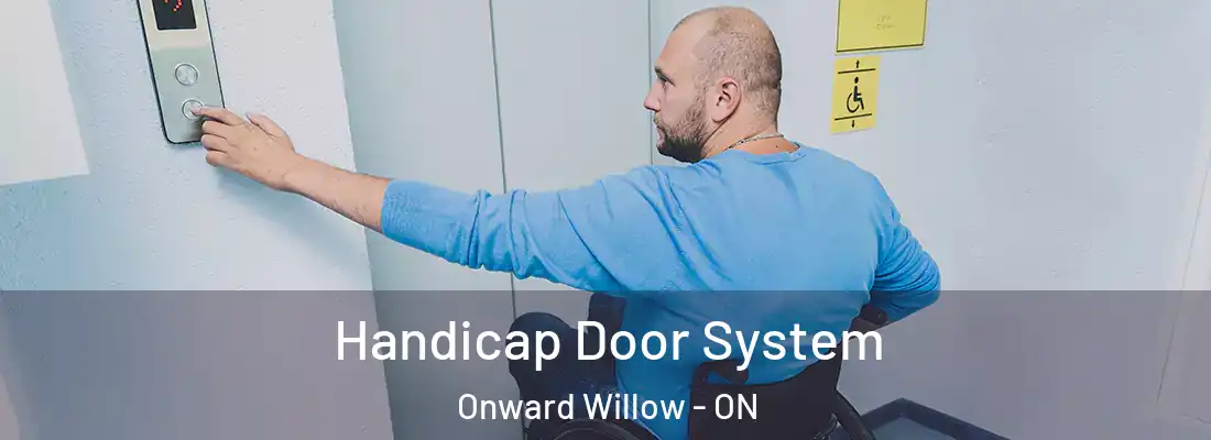  Handicap Door System Onward Willow - ON
