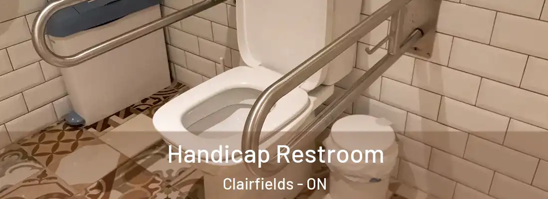 Handicap Restroom Clairfields - ON