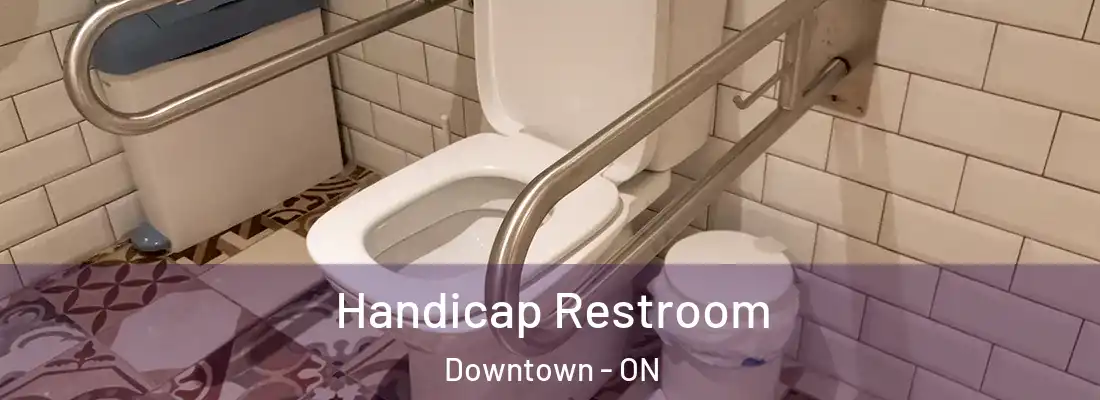  Handicap Restroom Downtown - ON