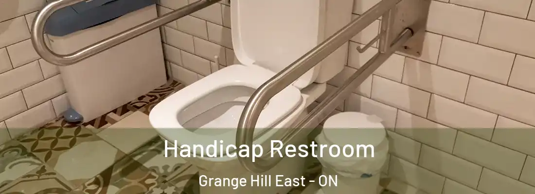  Handicap Restroom Grange Hill East - ON