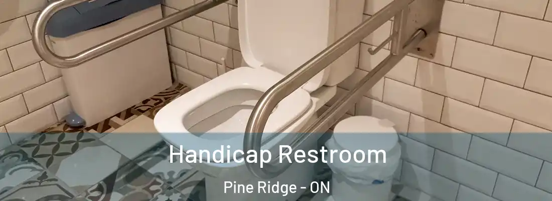  Handicap Restroom Pine Ridge - ON