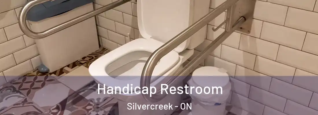  Handicap Restroom Silvercreek - ON