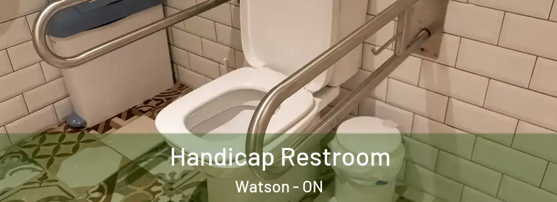  Handicap Restroom Watson - ON