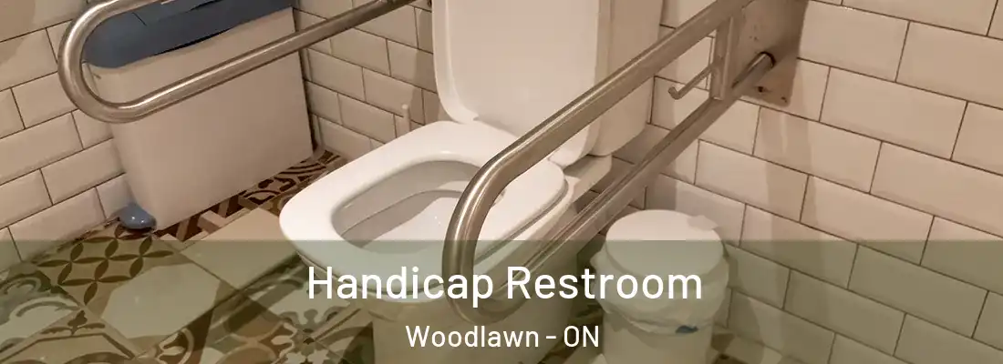  Handicap Restroom Woodlawn - ON