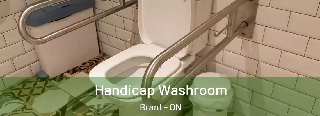  Handicap Washroom Brant - ON