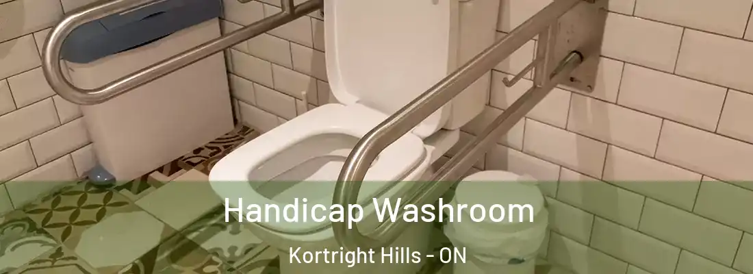  Handicap Washroom Kortright Hills - ON