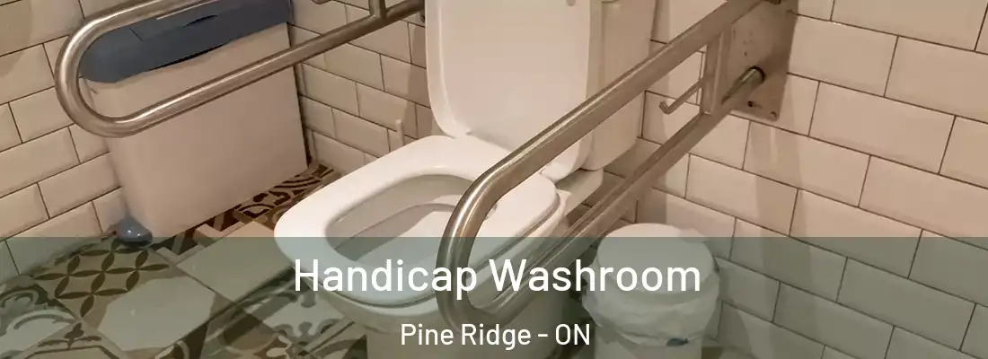  Handicap Washroom Pine Ridge - ON