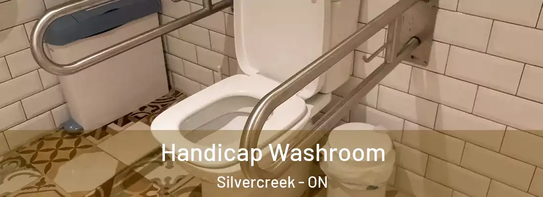  Handicap Washroom Silvercreek - ON