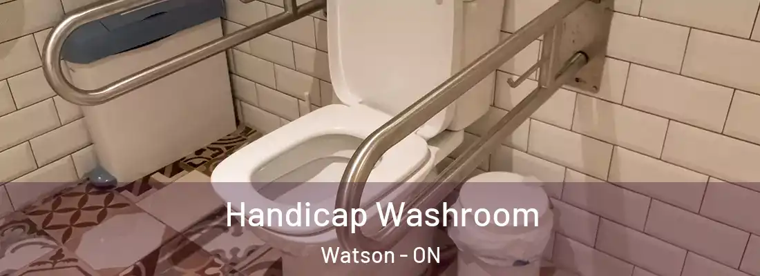  Handicap Washroom Watson - ON