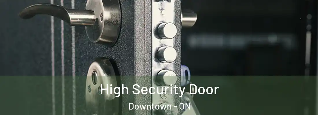  High Security Door Downtown - ON