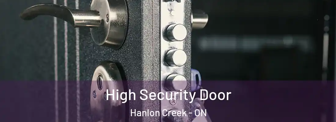  High Security Door Hanlon Creek - ON