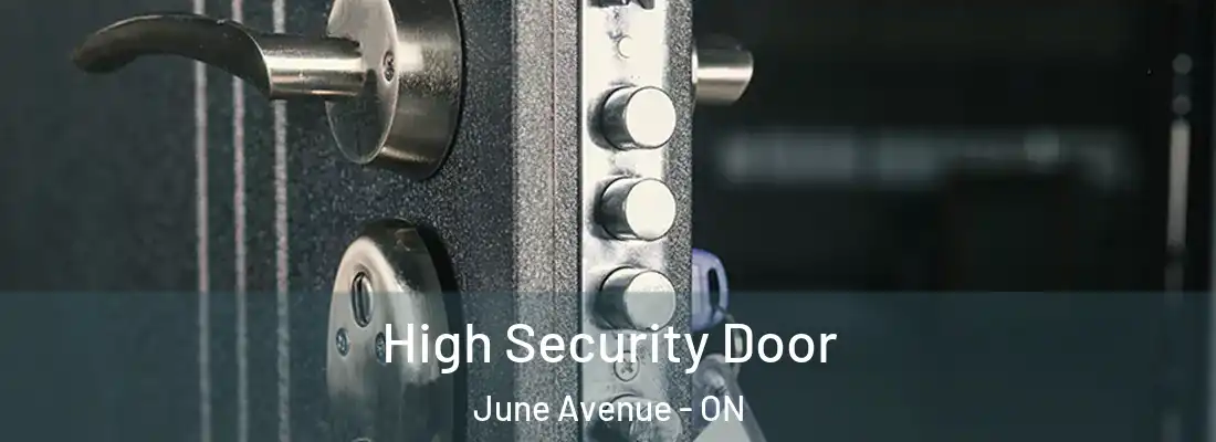  High Security Door June Avenue - ON