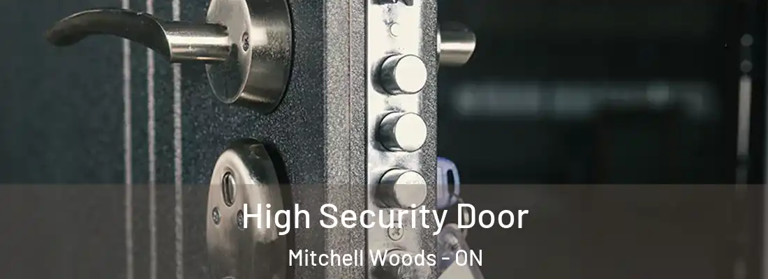  High Security Door Mitchell Woods - ON