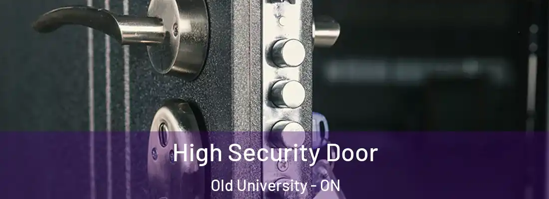  High Security Door Old University - ON