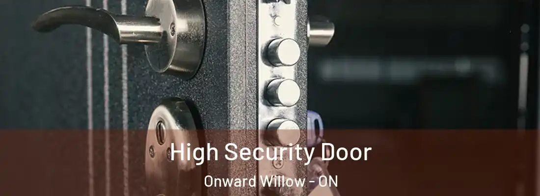  High Security Door Onward Willow - ON