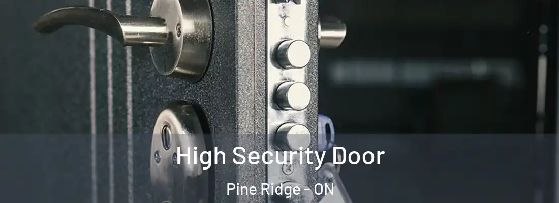  High Security Door Pine Ridge - ON