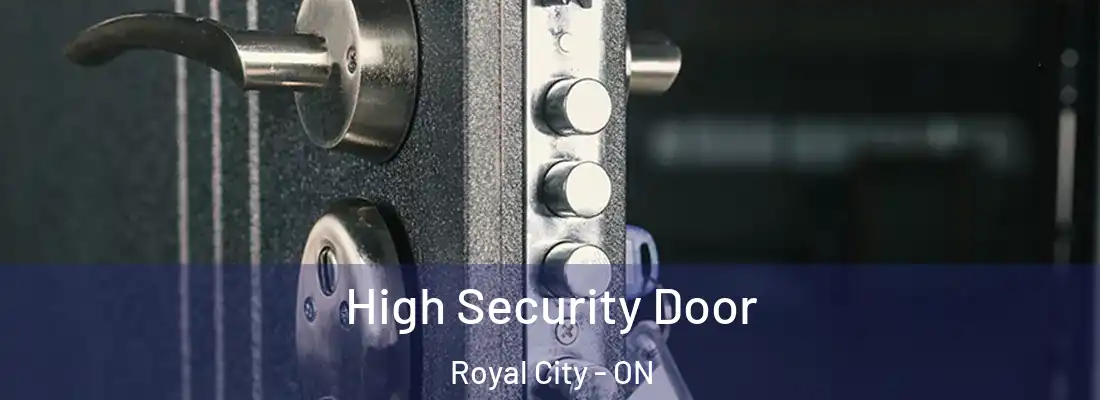  High Security Door Royal City - ON