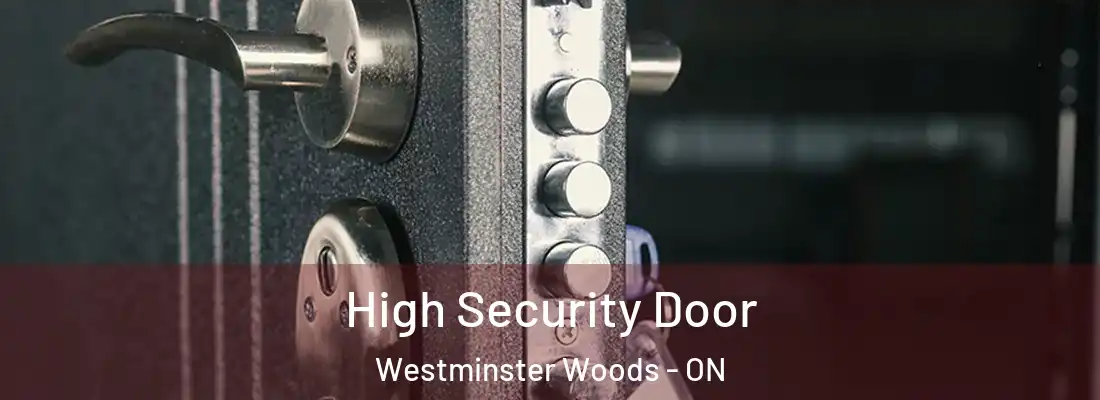  High Security Door Westminster Woods - ON