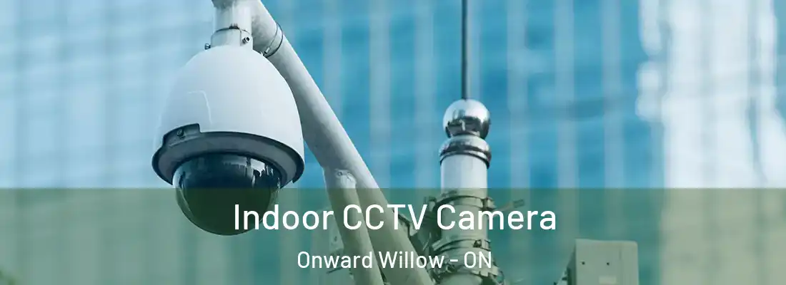  Indoor CCTV Camera Onward Willow - ON