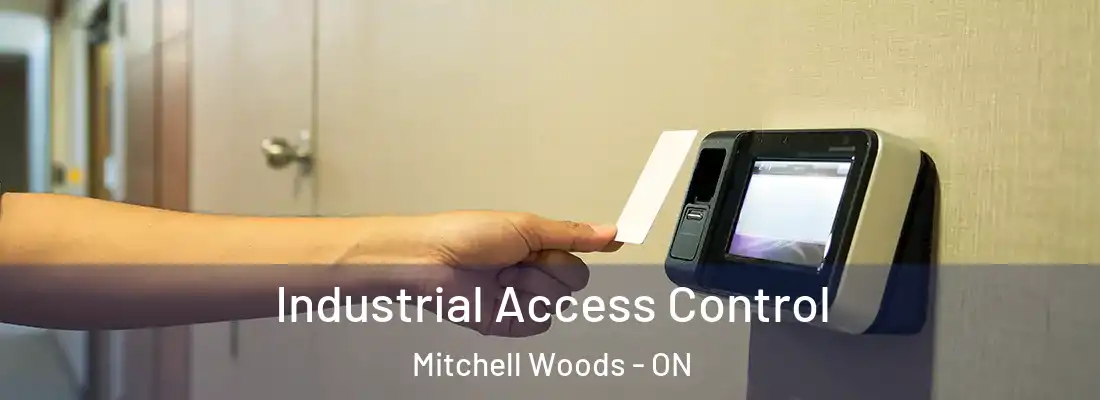  Industrial Access Control Mitchell Woods - ON