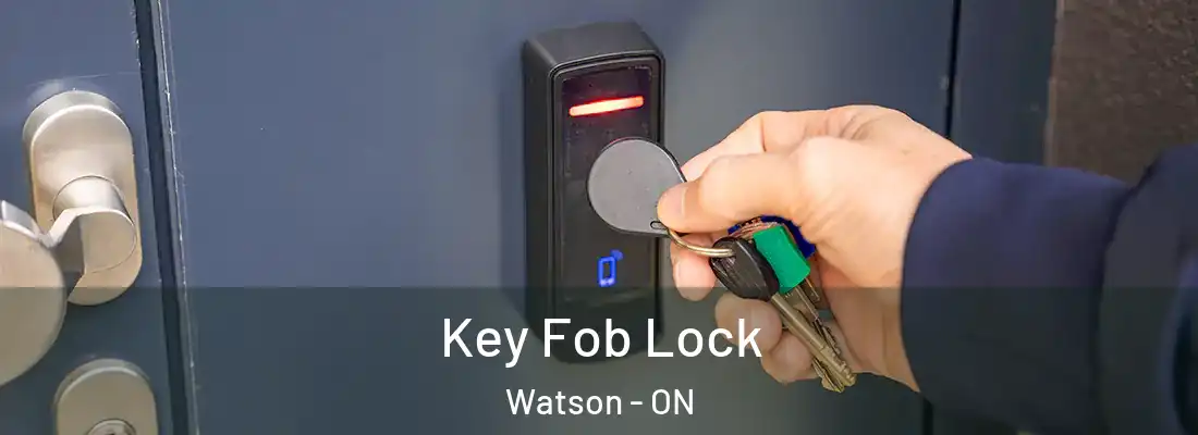  Key Fob Lock Watson - ON