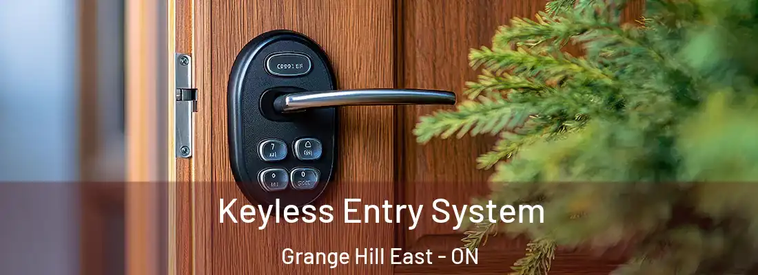  Keyless Entry System Grange Hill East - ON