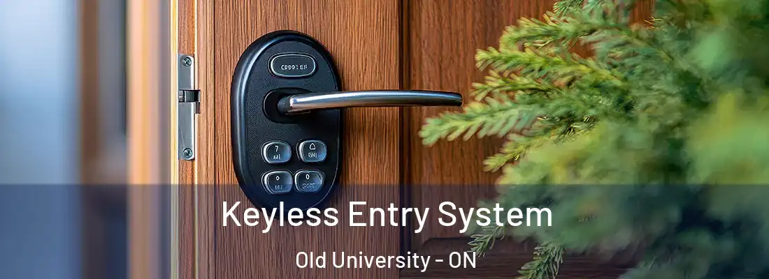  Keyless Entry System Old University - ON