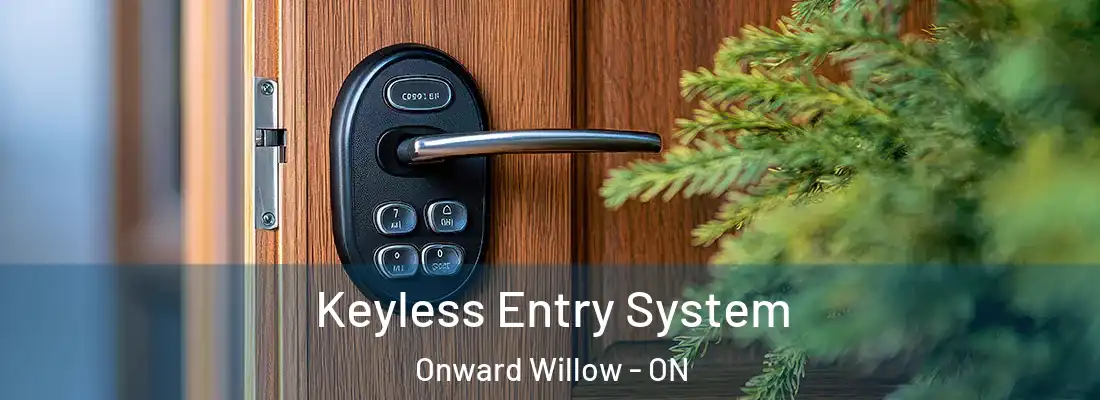  Keyless Entry System Onward Willow - ON