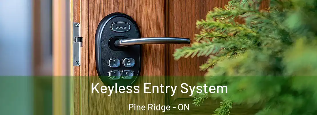  Keyless Entry System Pine Ridge - ON