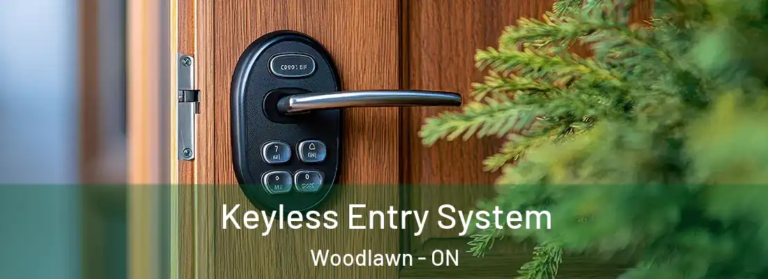  Keyless Entry System Woodlawn - ON