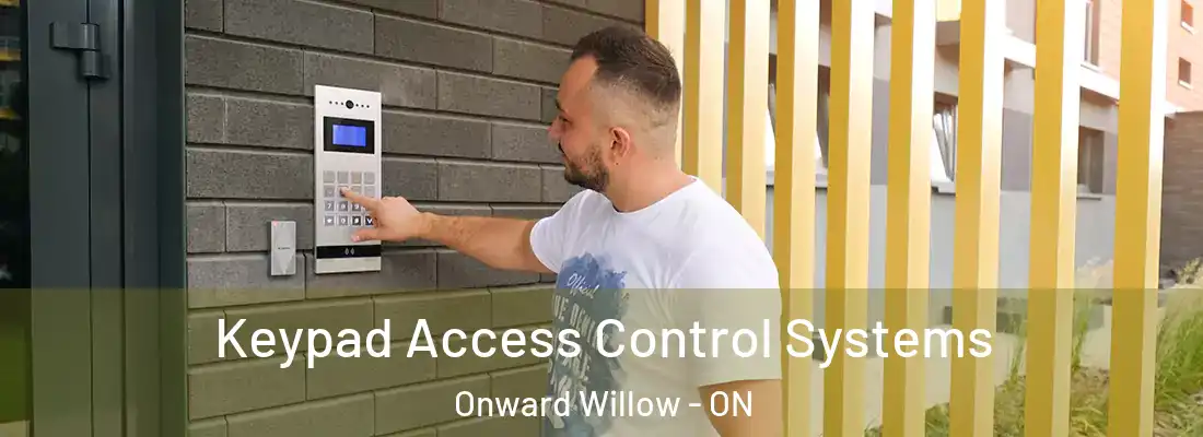  Keypad Access Control Systems Onward Willow - ON