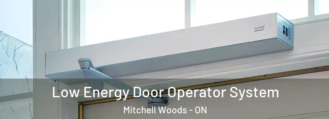  Low Energy Door Operator System Mitchell Woods - ON