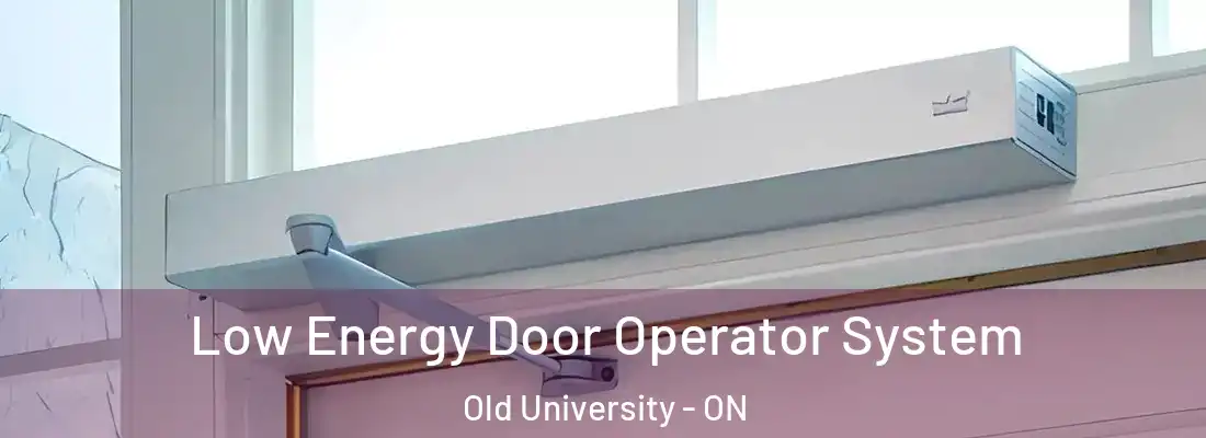  Low Energy Door Operator System Old University - ON