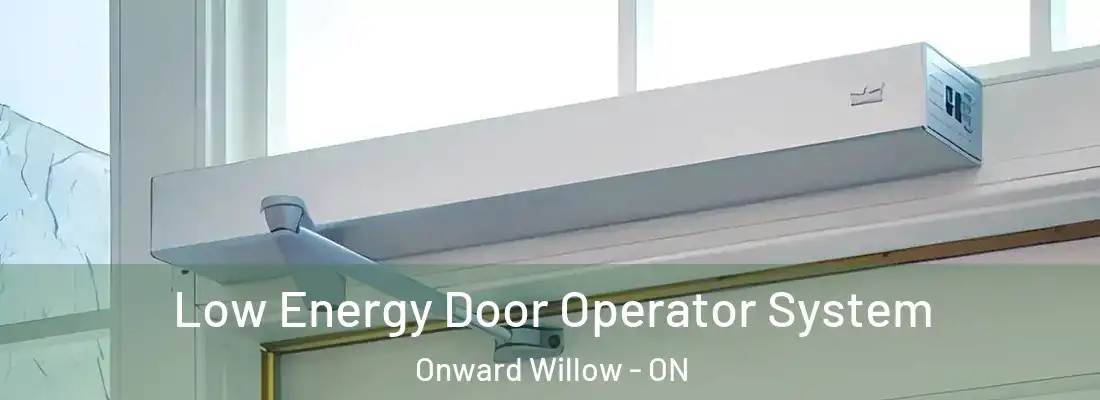  Low Energy Door Operator System Onward Willow - ON