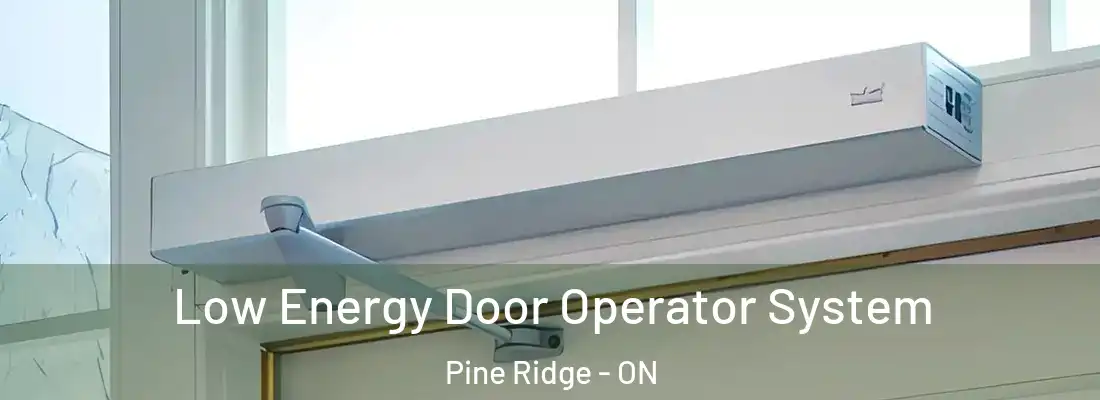  Low Energy Door Operator System Pine Ridge - ON