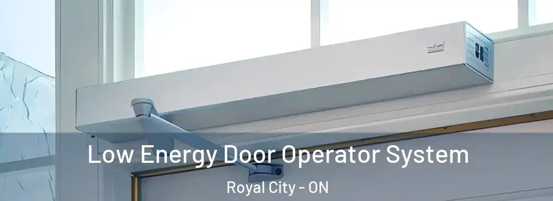  Low Energy Door Operator System Royal City - ON