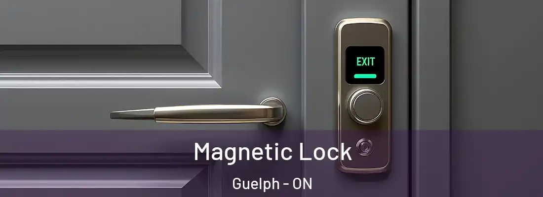  Magnetic Lock Guelph - ON