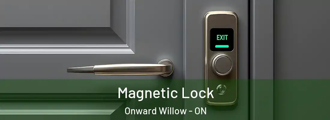  Magnetic Lock Onward Willow - ON