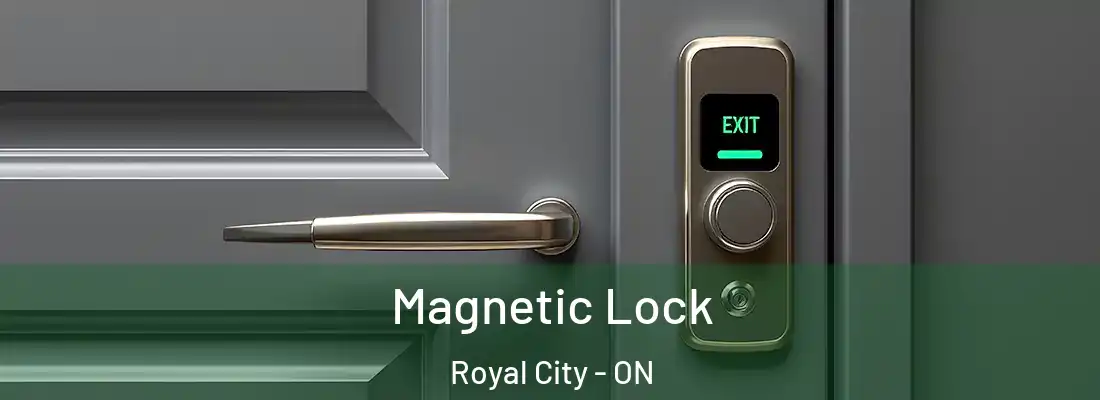  Magnetic Lock Royal City - ON