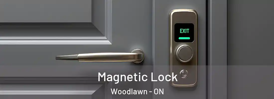  Magnetic Lock Woodlawn - ON