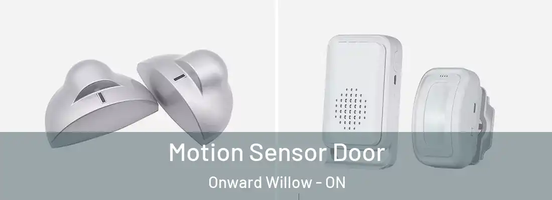  Motion Sensor Door Onward Willow - ON